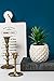 Porcelain Potted Artificial Succulent 7.8" Pineapple (White Home & Tabletop Office Decoration