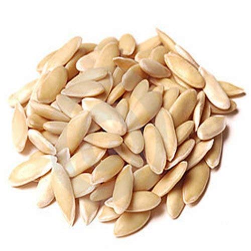 Cucumber Seeds For Eating-Kakdi Magaz-Kheera Beej-Cucumber Seeds-Beej Khira-Cucumis Sativus (100 Gms) (B08T1S8YJ7) Amazon Price History, Amazon Price Tracker