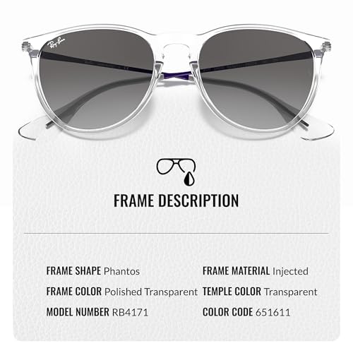 Image of Ray-Ban RB4171 ERIKA COLOR MIX Phantos Shaped Sunglasses for Women with Official RAYBAN Eyewear Kit