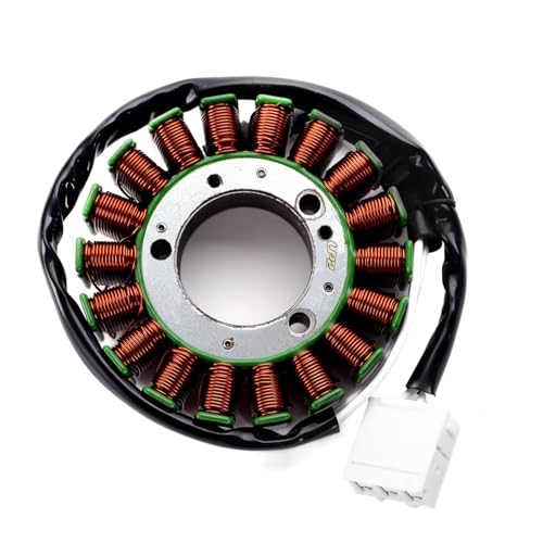 Bobine de stator d'allumage haute performance pour moteur magnéto Fzs1 Fzs1000