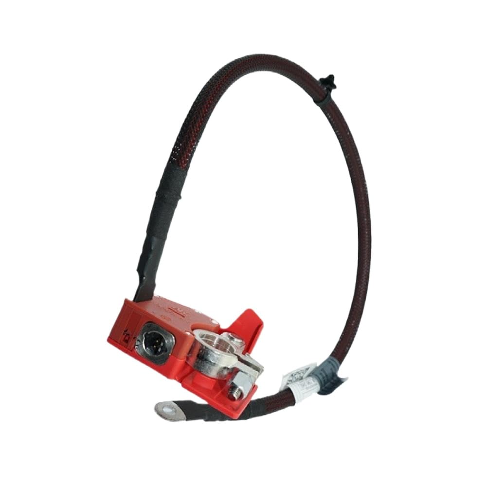 Câble de Batterie pôle Positif ou négatif Compatible avec BMW X7 G07(61128795487Positive)