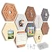 10 Pcs Hexagon Bulletin Board,11.8x10.23x0.47inch Self-Adhesive Felt Bulletin Board Tiles Pinboard Boho Home Office Wall Decor Pin Display Boards for Vision Photo Memo (40 Push Pins,10 Clips,10 Hooks)
