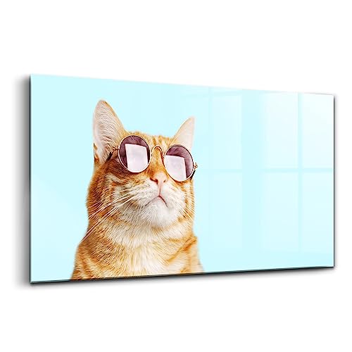 Tableau chat drôle avec lunettes en verre coloré Wallfluent 120x60cm pour décoration murale