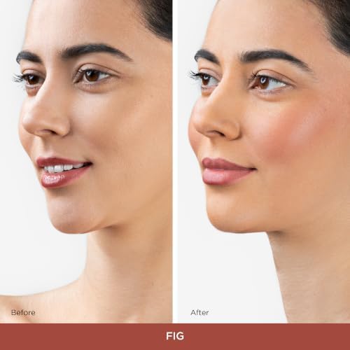 Re-tint All-Day Blur Cream Blush for Oily & Combination Skin, Fig - 2
