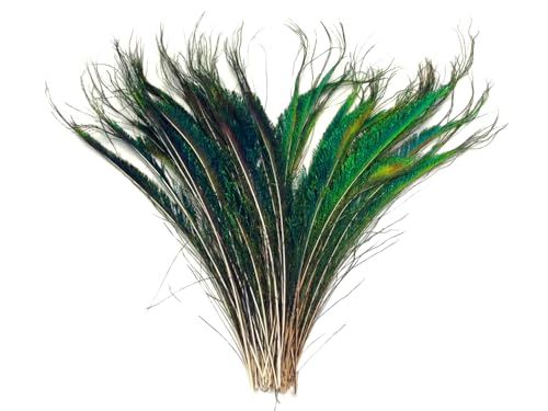 10 Pieces - 10-12 Natural Iridescent Green Peacock Swords Cut Feathers Fly Tying, Costume, Craft Supply - Moonlight Feather