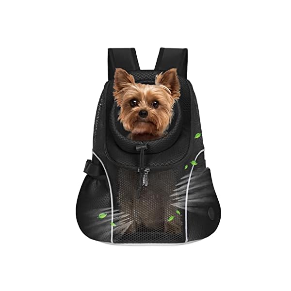 WOYYHO-Pet-Dog-Carrier-Backpack-Small-Dog-Front-Backpack-Ventilated-Mesh-Dog-Travel-Back-Pack-with-Safety-Belt-for-Travel-Hiking-Cycling-Outdoor-Use-M-up-to-10-lbs-Black AirVenture Pet Dog Carrier Backpack - Breathable Travel Solution for Small Dogs
