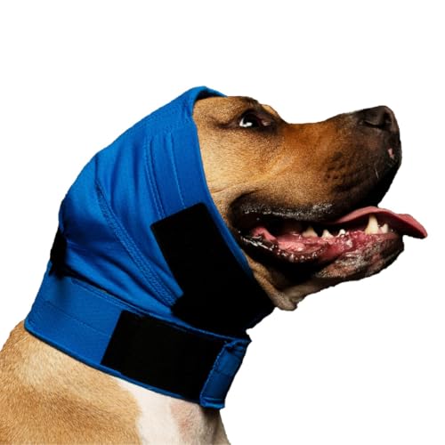 Bandage pour oreilles No Flap ajustable et respirant bleu pour chien M