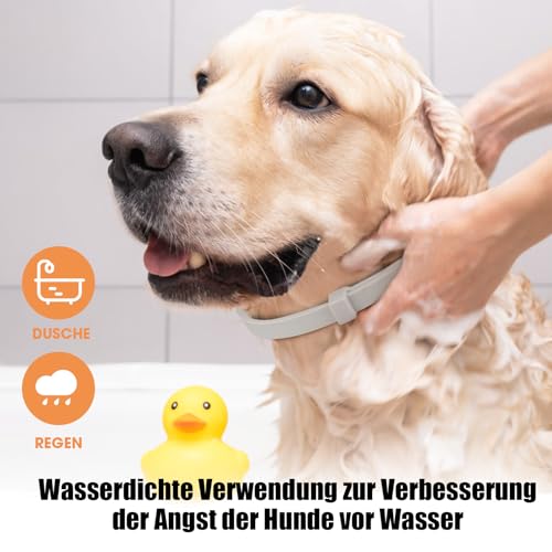 Beruhigungshalsband für Hunde 6 Packungen Hund Pheromon Calm Halsbänder Relief Angst Stress Trennung Lasts 120 Tage Relieve schlechtes Verhalten 25 Zoll Größe einstellbar für alle Hund