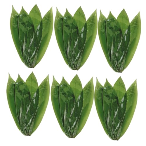 Cabilock 50個 端午節用中号竹葉 包粽子用食用 寿司装飾や料理盛り付けに 和風料理店向けデコレーション葉 プレート飾りと撮影用アクセサリ