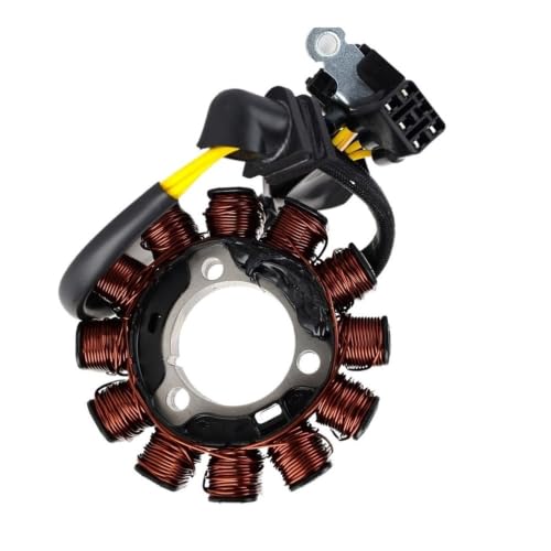 Bobine de stator résout la panne d'allumage moto CRF450RWE