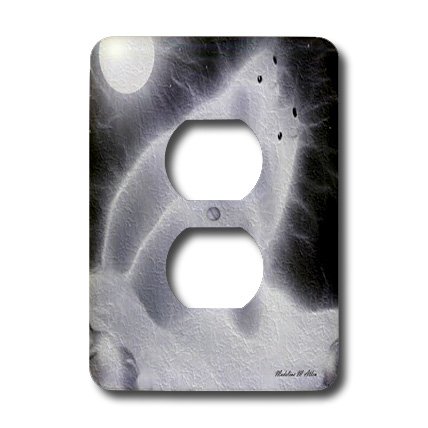 Bouchon de prise polar bear b lsp_8365_6 double cache prise 3dRose LLC