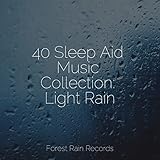 Forest Rain Records