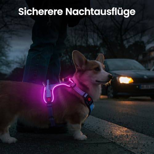 DAISTERN von BSWAY LED Hundegeschirr Größe S mit Griff, Aufladbares Leuchtendes Hundegeschirr, Brustgeschirre Hunde mit 3 Blinkmodi, Reflektierende Streifen für kleine und Mittelgroße Hunde