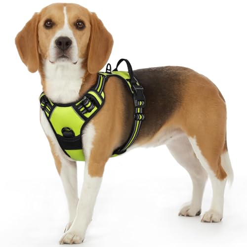 Image of Eagloo Dog Harness for Small Dogs, No Pull Pet Vest with 2 Leash Clips
