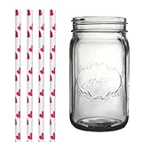 Dress My Cupcake Clear Vintage Jardin Mason Jar with Valentines Red Heart Straws, 32-Ounce
