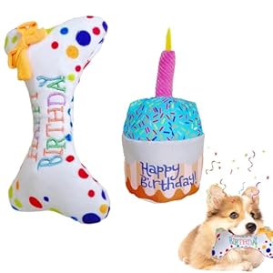2 stuks hondenspeelgoed, hondentaartje, verjaardag, cadeau hond, zacht en duurzaam voor honden, verjaardagsfeestjes en speeltijd