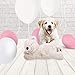 AFP Snuggle Bear Toy Pet Behavioral Aid Toy Warm Plush Toy