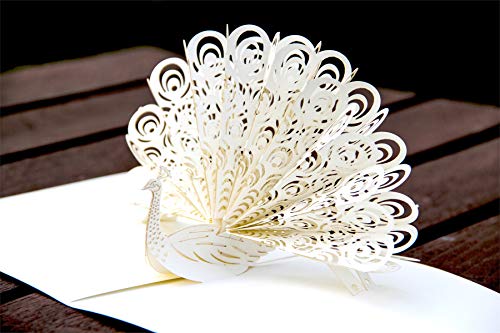 Paper Spiritz White Peacock Pop up Birthday Cards With Envelope, Mother's Day Cards, Christmas Thanksgiving Cards, Anniversary Thank You Greeting Card for Wife Husband Daughter