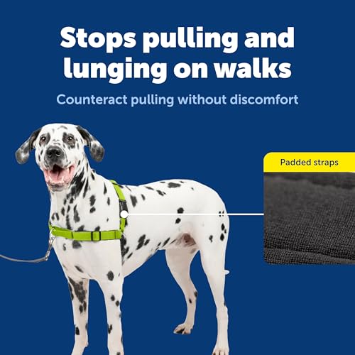 Harnais pour chien PetSafe Easy Walk pour des promenades sans tirer au parc taille L - 6