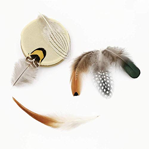180Pcs 6 Style Natural Feathers Assorted Mixed Feathers For Dream Catcher Crafts Decoration (6 Styles/180 Pcs) #TOP2