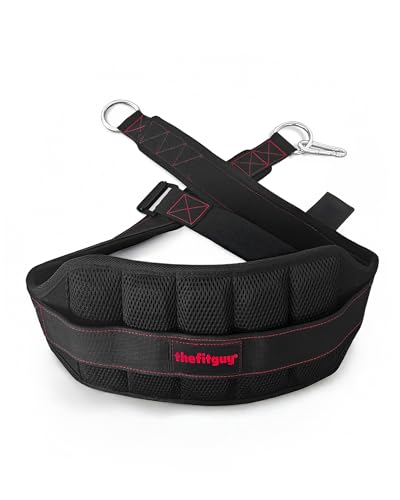 THEFITGUY Ultimate Belt for Belt Squats, Rack Attachment and Squat Machine, Structured Back Support, Stays Low During Down Movement, Padded Hip & Thigh Area, Buckle Strap - No Sliding Down, Heavy Duty