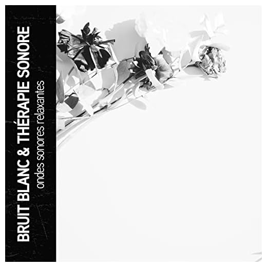 caméra drone à bruit blanc