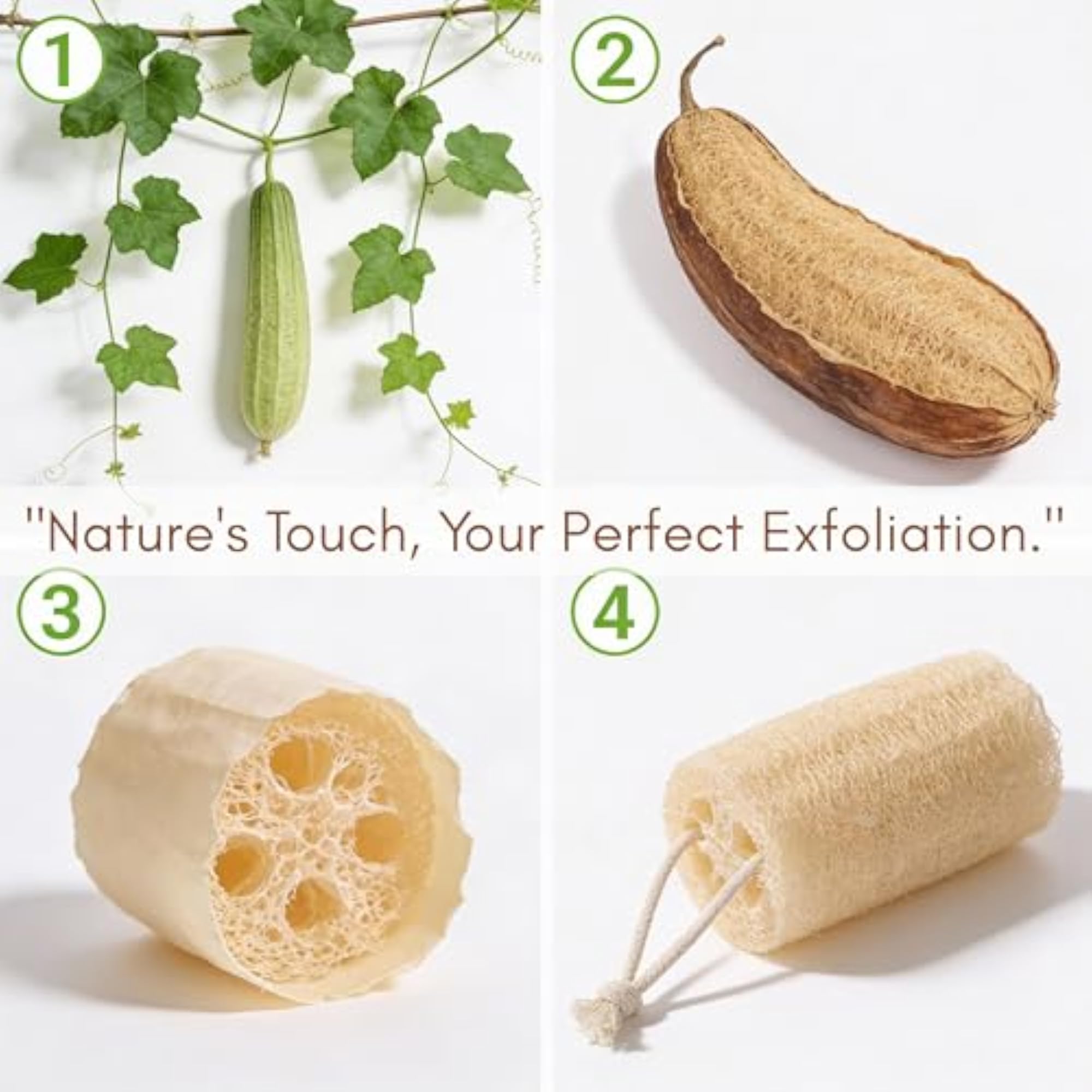 Natural Loofah Short Scrub Sponge for Bathing, Organic & Eco-Friendly