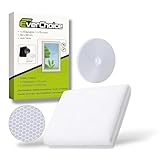 EverChoice