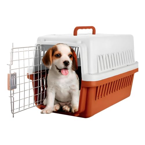 Raganet, Jaula Transportadora para Mascotas con Puerta de Metal, Transporta Mascotas Pequeñas de hasta 5 Kg (50cm Largo X 30cm Ancho X 30cm Alto...