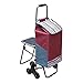 TOMYEUS Chariot Portable Grille de Chariot d'escalade Panier Panier Panier Panier avec Tabouret Pliant Petit Sac de remorque Chariot Chariot Chariots de magasinage Portables (Color : 1)