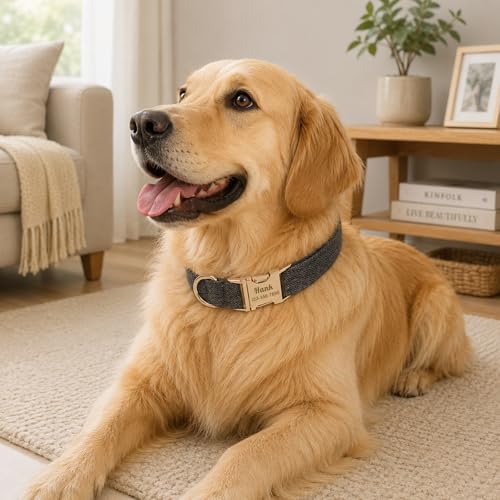 Collier pour chien personnalisable polyester avec nom et numéro - 7