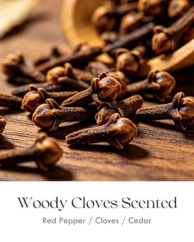 Image of AOOVOO Spiced Clove Odor Eliminating Highly Fragranced Candle - Eliminates 95% of Pet, Smoke, Food, and Other Smells Quickly, Non Toxic Air Freshing Soy Candle, 9 oz Up to 50 Hours Burn time