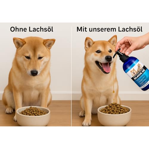 SteriMedo Lachsöl für Hunde & Katzen 250 ml, Omega 3-6 Fischöl aus Wildlachs, Unterstützt Fell, Haut, Gelenke, Hochdosierter Futterzusatz, Geeignet für alle Rassen