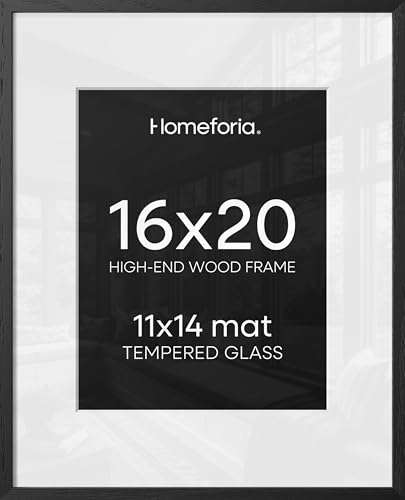 Homeforia 16x20 Wood Frame with Matte Black Finish