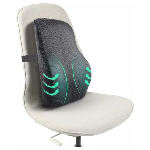 Sleepsia Lumbar Support Memory Foam Orthopedic Back Cushion – Back Rest Cushion for Car, Chair and Office Chair (17.5