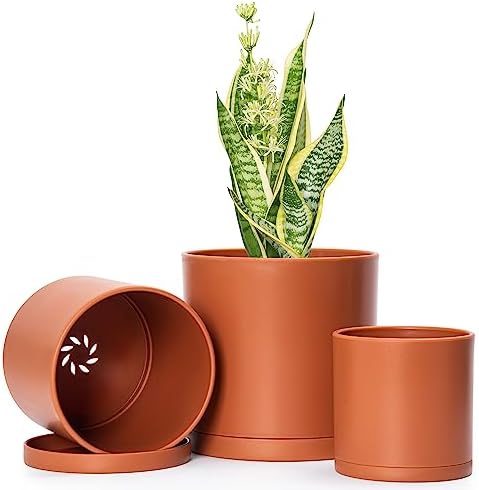 D'vine Dev 4 Inch 5 Inch 6 Inch, Set of 3 Plastic Planter Pots fo...