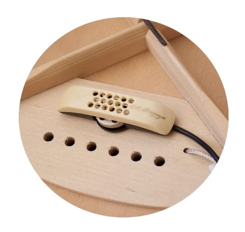 L.r. Baggs Anthem-Sl-C Classical Guitar Pickup #TOP2