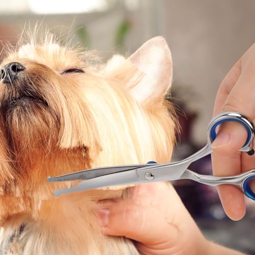 Hunde Scheren, Gebogene Schere Fellschere Für Hund und Katze Sicherheit Runde Spitze Grooming Schere, Edelstahl-Fellschere für Hunde und Katzen