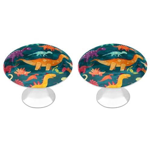 Dinosaur Cartoon 2 Pack Drawer Knobs Stainless Steel Handles Drawer Pulls for Bathroom Dresser Cupboard Cabinets