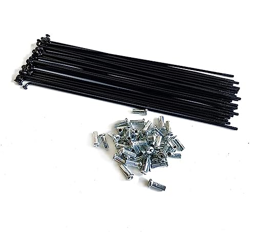 ZOCKZ 13G Fahrradspeichen Durchmesser 2,3 mm E-Bike Hartstahl Speichen, 20/40 Stück J Bend Fahrradspeichen mit 12 mm Nippel für MTB Dreirad Fahrrad Ebike