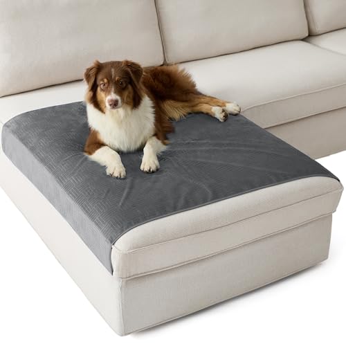 Bedsure Waterproof Couch Cover for Dogs Washable - Waterproof Blanket for Large Dogs Couch Sofa Cozy, Lightweight Furniture Protector for Pet Cat Quick Drying Puppy, Ash Grey, 40x50IN
