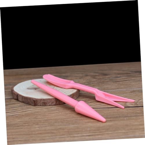 Set de 4 Herramientas para Trasplante de Suculentas miniatura 3
