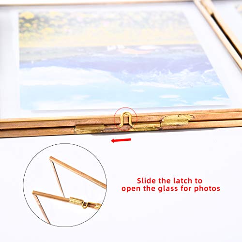 Longwin Gold Glass Frame For Pressed Flowers 9.4 Inch Brass Hexagon Shaped Hanging Wall Decor Floating Frame For Dried Leaf Plants Specimen Herbarium Artwork, Glass Frame Only #TOP3