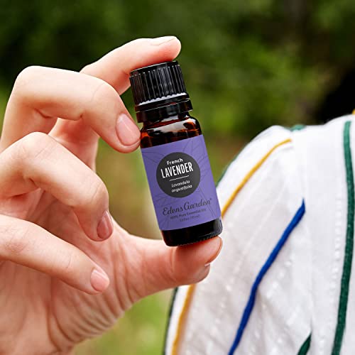 Edens Garden Lavender- French Essential Oil, 100% Pure Therapeutic Grade (Undiluted Natural/Homeopathic Aromatherapy Scented Essential Oil Singles) 30 Ml #TOP1