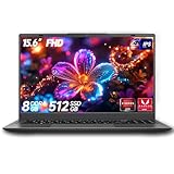 BLUEING 15.6-Inch Laptop Computer, Laptop with AMD 3020e (Up to 2.6GHz), 8GB DDR4 512GB SSD (Up to 32GB + 4TB), 1080P FHD IPS Display, Type-C, HDMI, USB3.2, BT5.2, WiFi 5, Laptops, Gray