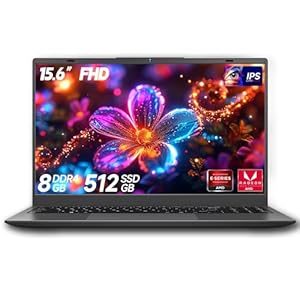 Computadora portátil de 15.6 pulgadas, portátil con AMD 3020e (hasta 2.6 GHz), 8 GB DDR4 512 GB SSD (hasta 32 GB + 4 TB), pantalla IPS FHD de 1080P, tipo C, HDMI, USB3.2, BT5.2, WiFi 5