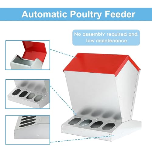 Comedero automático para pollos, comedero de aves de corral de 10 agujeros para exteriores con tapa de acero inoxidable para una cómoda alimentación bajo demanda, ideal para criar bantamos, faisanes