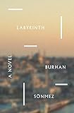 Labyrinth: A Novel
