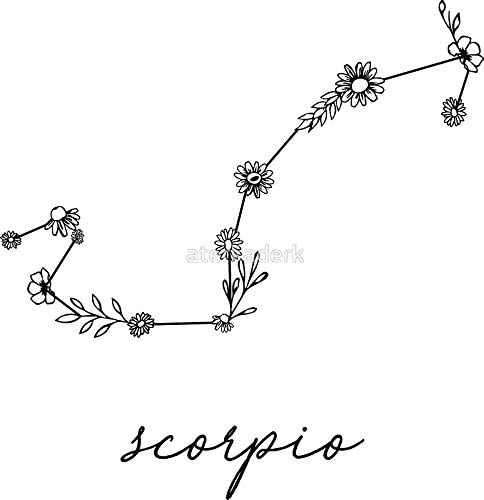 Scorpio Zodiac Wildflower Constellation - Sticker Graphic - Auto, Wall, Laptop, Cell, Truck Sticker for Windows, Cars, Trucks