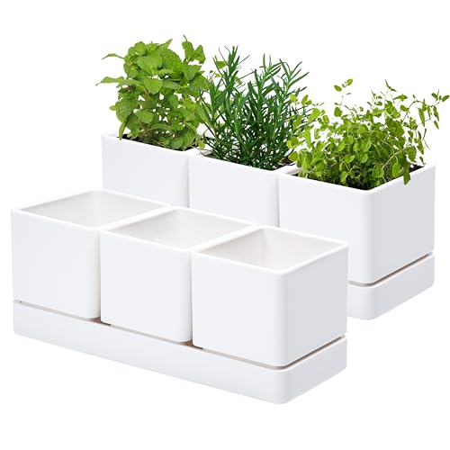 D'vine Dev Herb Garden Planter Set, Plastic Plant Pots with Drainage and Saucer, Indoor Succulent Cactus Vegetable Pot for Windowsill, Garden Balcony, White, Set of 2, 76-V-A-2